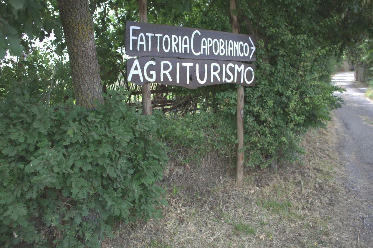 蒙蒂菲阿斯科尼Fattoria Capobianco别墅 外观 照片